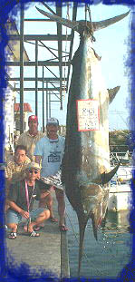 843 lb. Black marlin and the biggest black so far this century